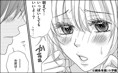 同居人は秘密のSカレ【マイクロ】