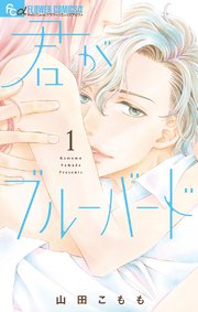 君がブルーバード