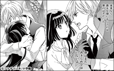 愛でられる罪～純情未通女～【マイクロ】