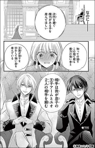 夜伽の双子―贄姫は二人の王子に愛される―