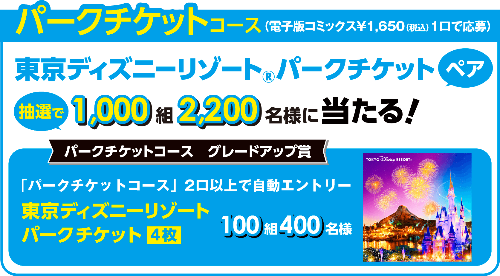 パークチケット