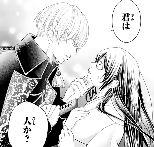 noicomi鬼の軍人と稀血の花嫁