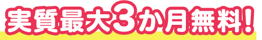 実質最大3か月無料!