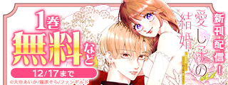 愛し子の結婚～偽装契約なのにエリート騎士様が甘すぎる～　新刊配信記念