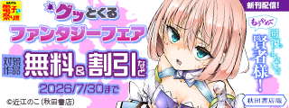 【AKITA電子祭り 夏の陣】グッとくるファンタジーフェア　「もうやめて回復しないで賢者様！」最新巻発売！